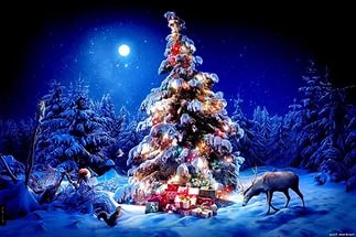 с новым годом!